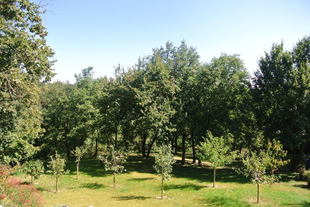 A L'Oree Du Bois Rillieux-la-Pape Rom bilde